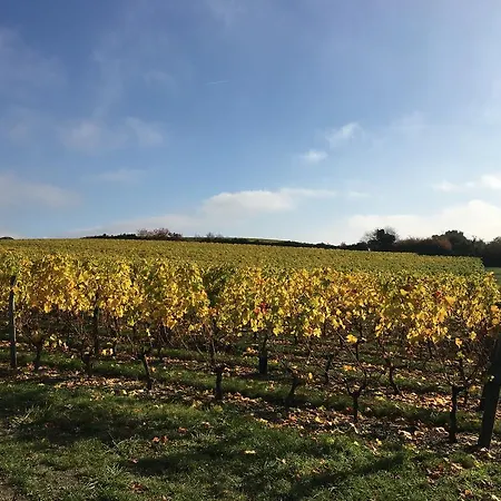 Prázdninový dům Belle Vue