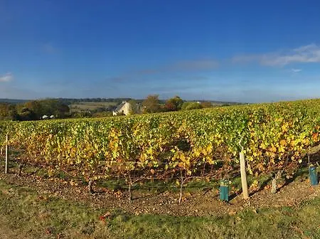 Prázdninový dům Belle Vue *