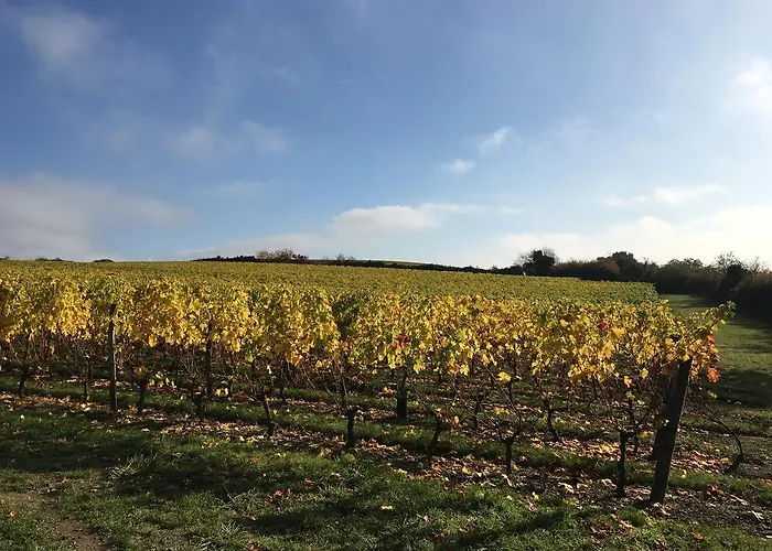 Дом отдыха Belle Vue