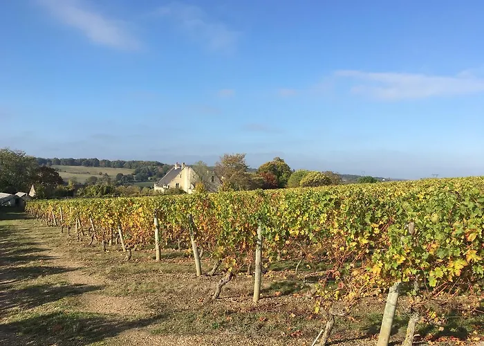 Σπίτι διακοπών Belle Vue Montsoreau